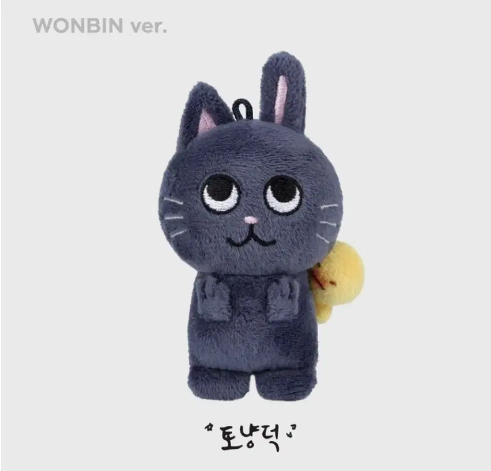 라이즈 원빈 인형 토냥덕 10cm