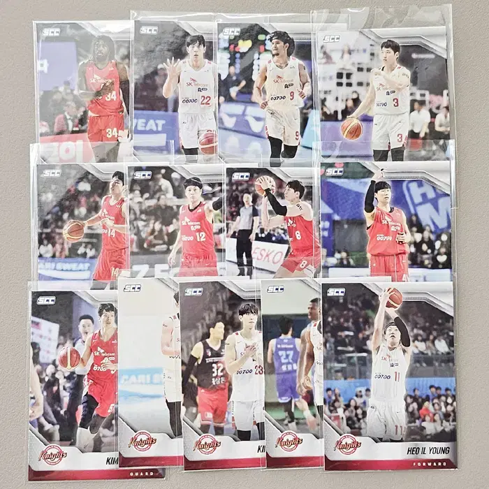 [800원] 23-24 KBL카본 [베이스카드]