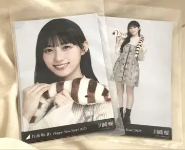 노기자카46 간지 뱀 카와사키 벚꽃 브로마이드 세미콘