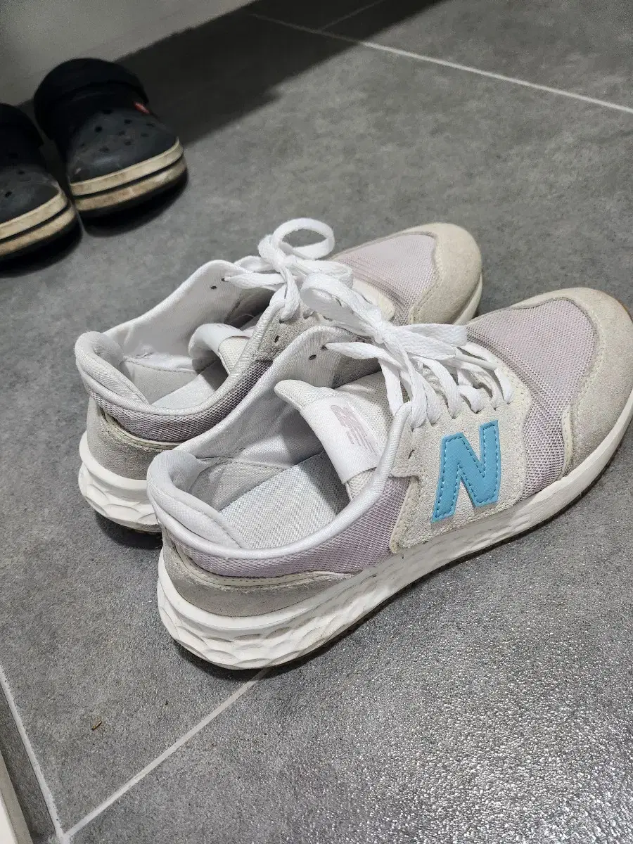 뉴발 240