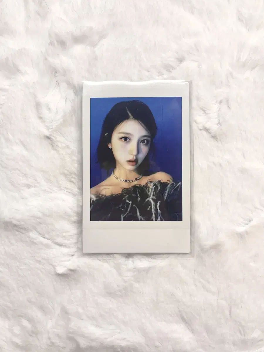 (매물x)아이브 럽다 러브다이브 타워레코드 폴라 체키 가을포카 시세킹