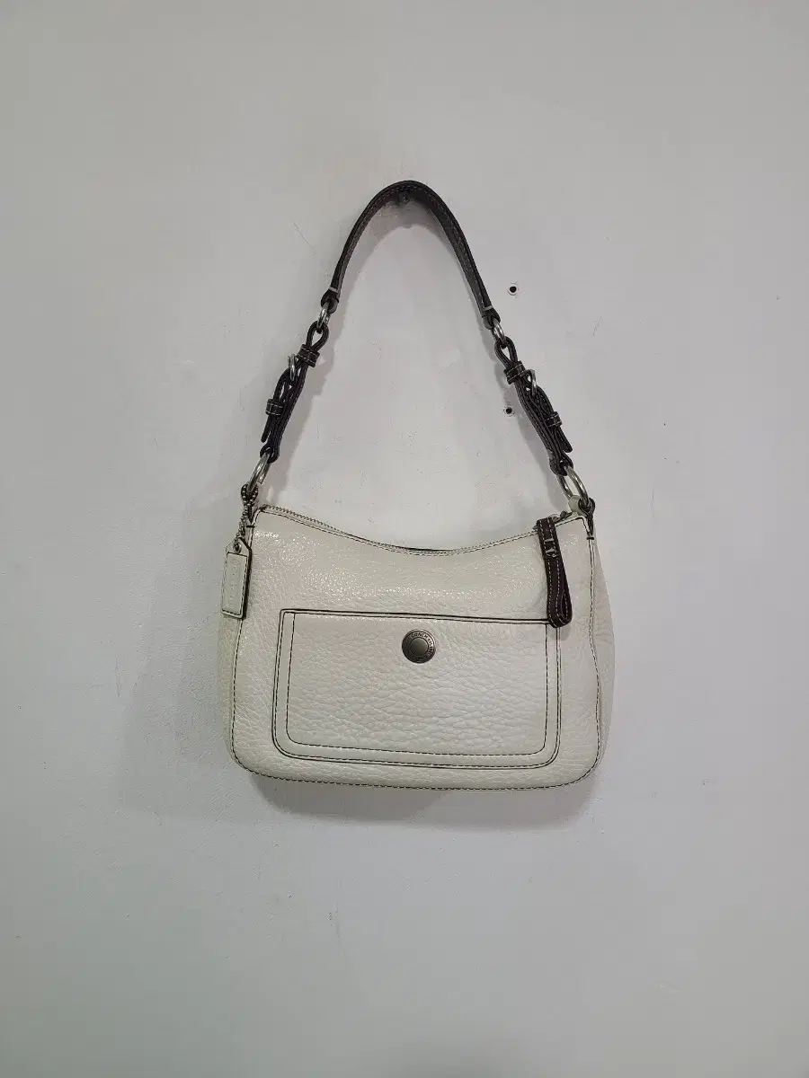 COACH bag (free shipping)