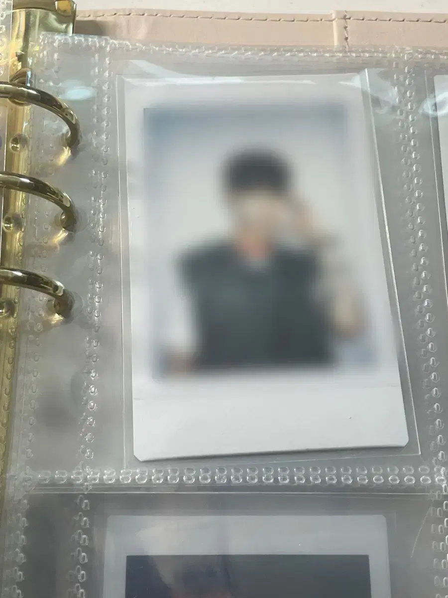 루시 싸폴 싸인 폴라로이드 예찬 상엽 원상