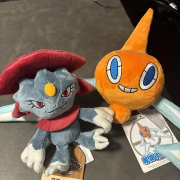마뉴라 로톰 봉제 인형 세트