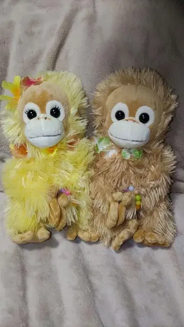 베이비 코코&너트 베이비 코코&너트 택 없음