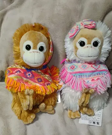 베이비 코코&나츠 베이비 코코&너트 택 포함 치마요가라
