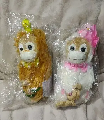 베이비 코코&너트 택 포함 HAWAII