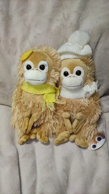 베이비 코코&너트 베이비 코코&너트 한쪽 택 포함