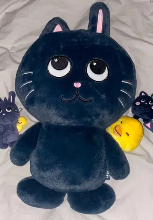 40cm 빅토냥덕 인형 라이즈 원빈