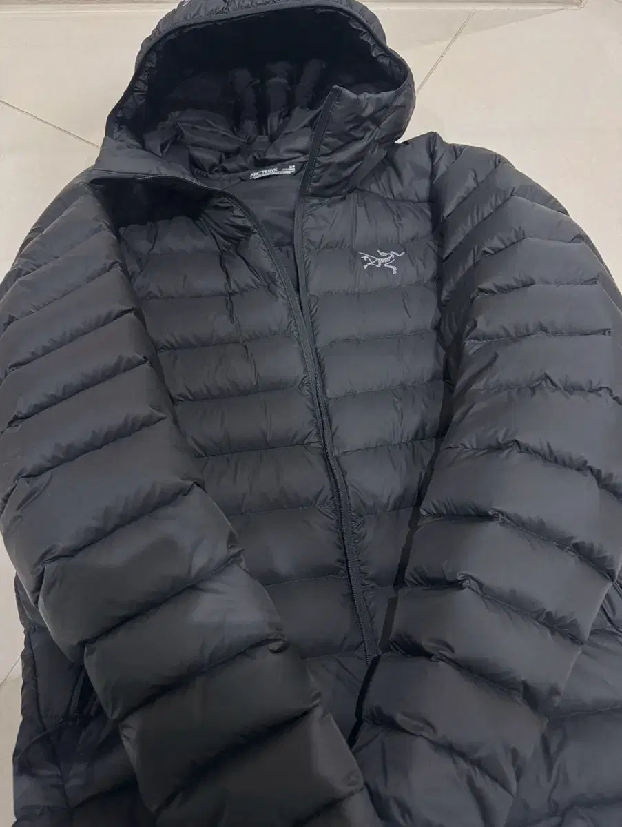 아크테릭스 세륨 후디 s