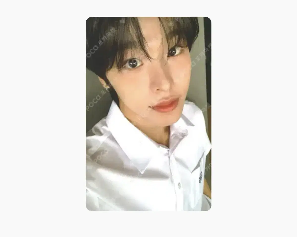 미개봉 스쿨오브 위시 입장 포카 세트 nct wish 엔시티 위시 재희