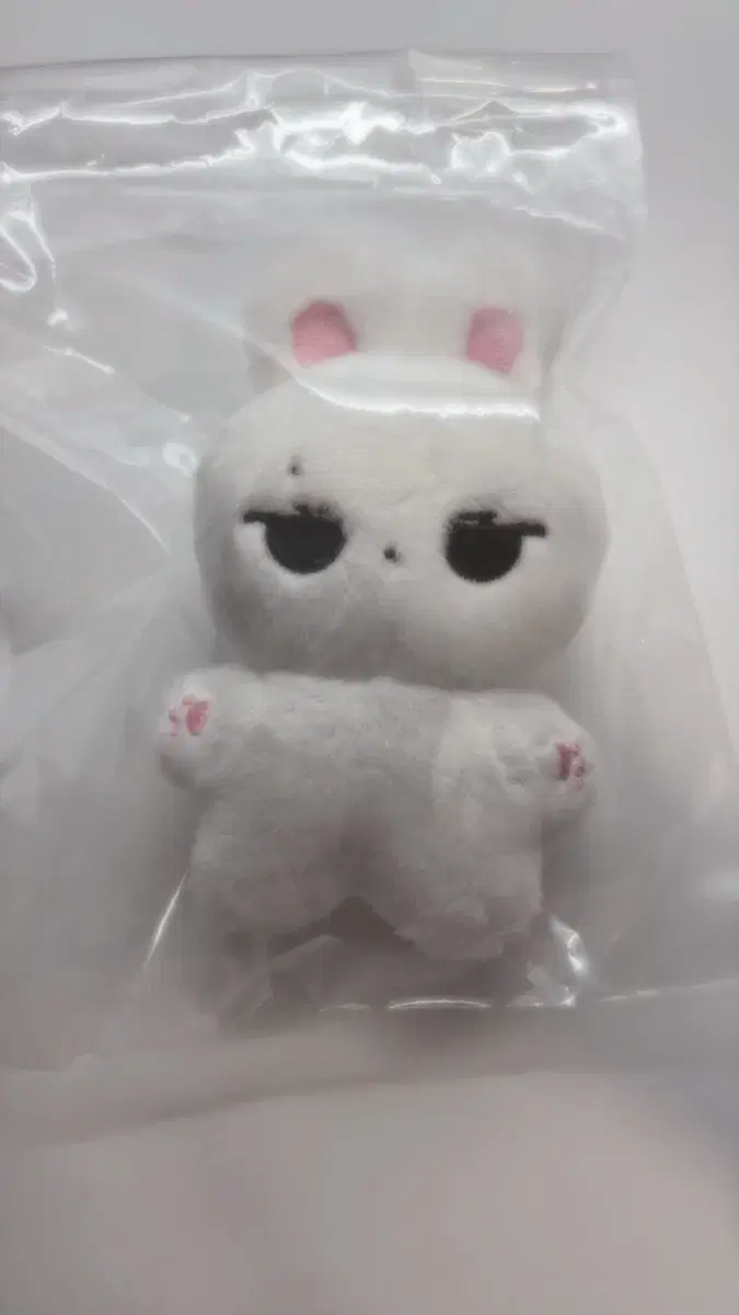 스키즈 리노 인형 베리 인형 양도
