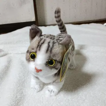 리얼한 고양이 봉제 인형