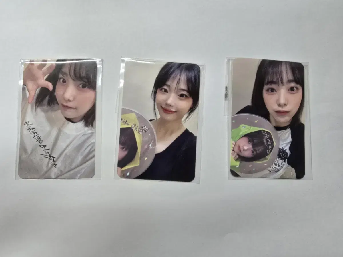 QWER 시연 히나 알블 팝업 포카
