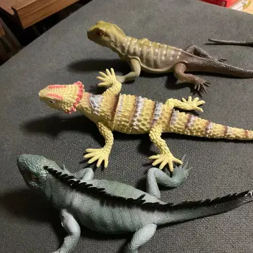 도마뱀 피규어 3종 세트