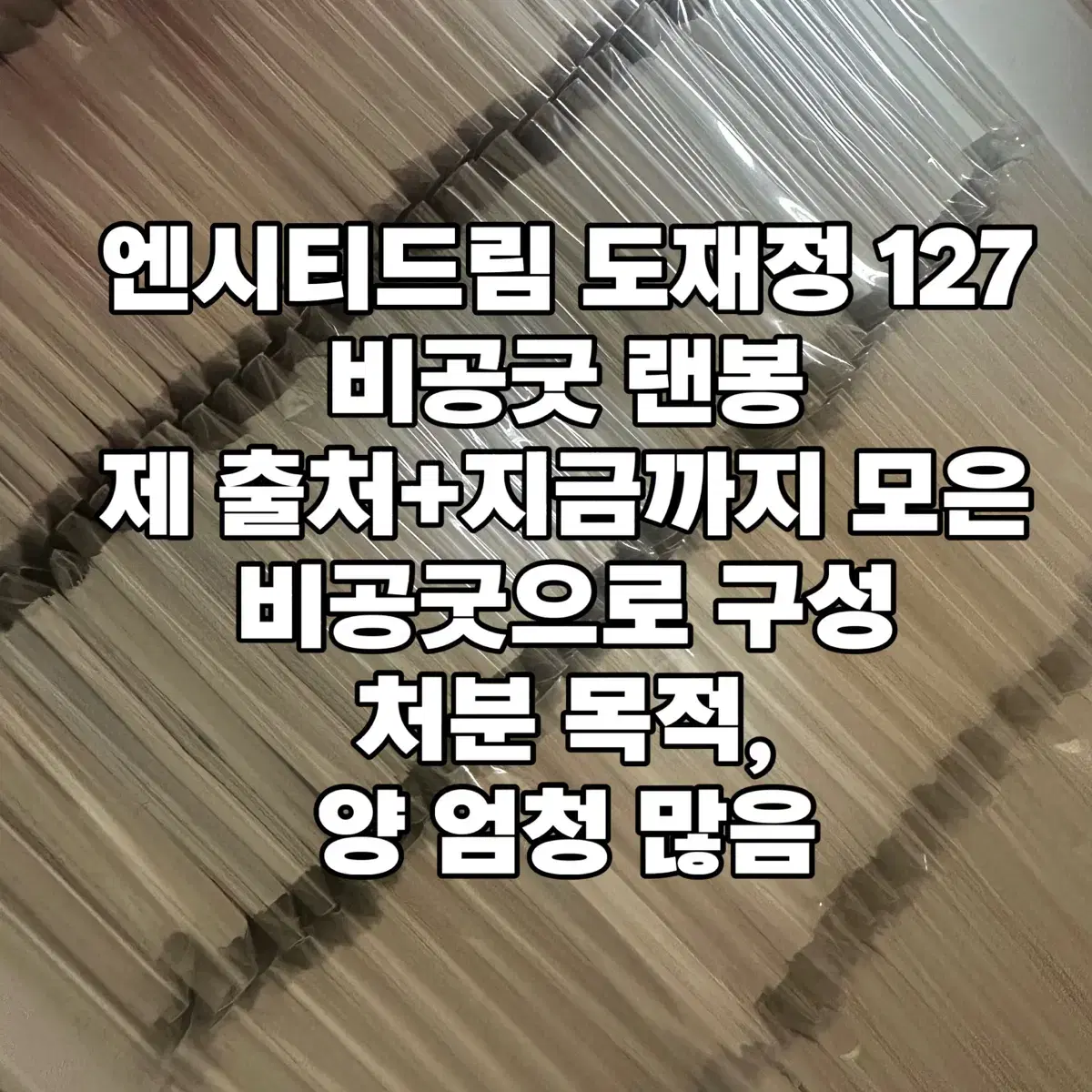손해X) 엔시티드림 도재정 127 비공굿 처분 랜박 랜봉