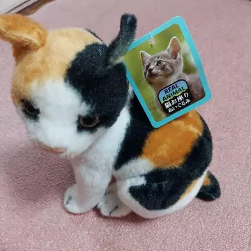 리얼한 삼색 고양이 봉제 인형
