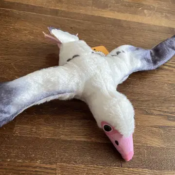 조류전 페라골니스 산델시 한정판 봉제 인형