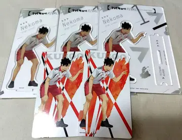 하이큐 VS 호적수 아크릴 스탠드 애니메이트 혜택 검은 꼬리