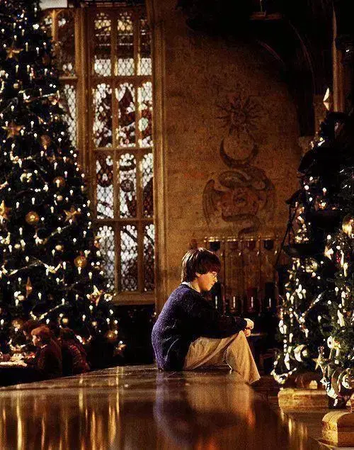 + Harry Potter 해리포터 | 희귀 빈티지 영화 DVD 세트 +