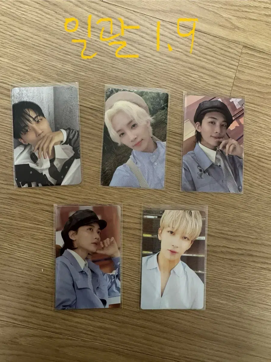 세븐틴 정한 포카 일괄 헹가래 페더썬 fml 위버스샵 특전 베레모 박화윤