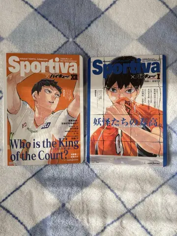 하이큐 쇼세츠반!! sportiva 비주얼 보드 카게야마 토비오