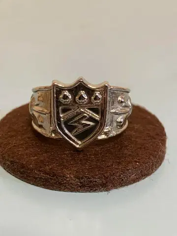 가정교사 히트맨 리본 reborn 번개의 봉고 반지