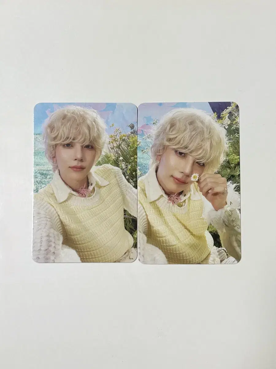 세븐틴 정한 포카