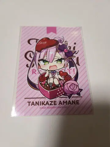 천사 소란 초코 타르트 덤 브로마이드 타니카제 아토네