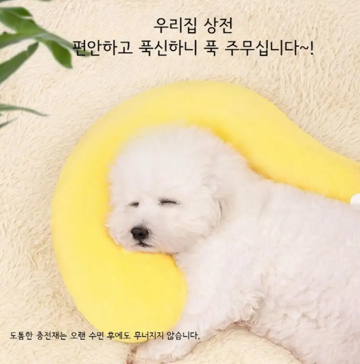 [새상품] 강아지 고양이 애착쿠션 베개 S