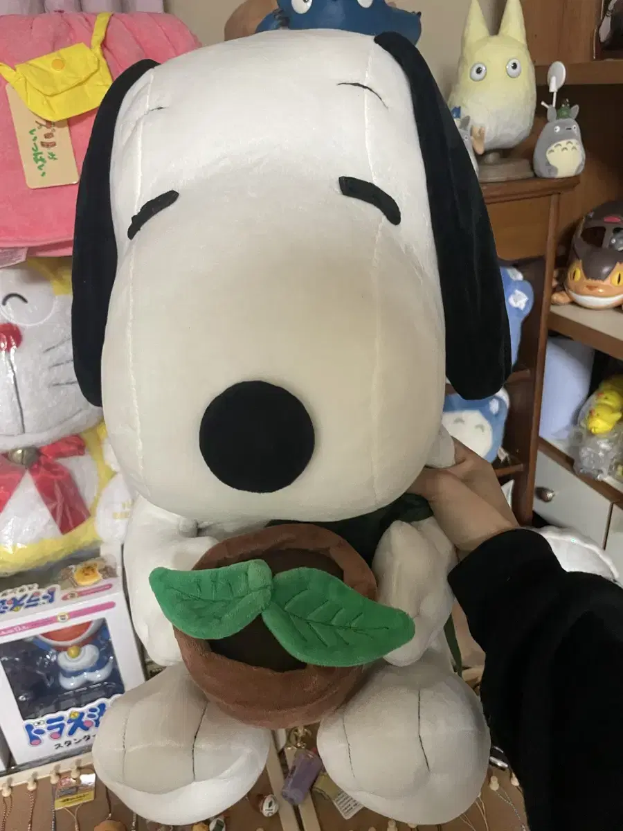 정품! 스누피가든 정원사 스누피 인형 팝니다! (전시만 해둬서 새상품급