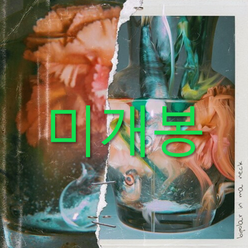 [미개봉] 윤병호 (블리다바스타드) - Bipolar In Ma Neck
