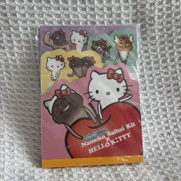 산리오 나메코 키티 메모