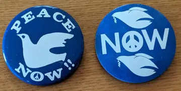 PEACE NOW!! 빈티지 배지 2개 세트