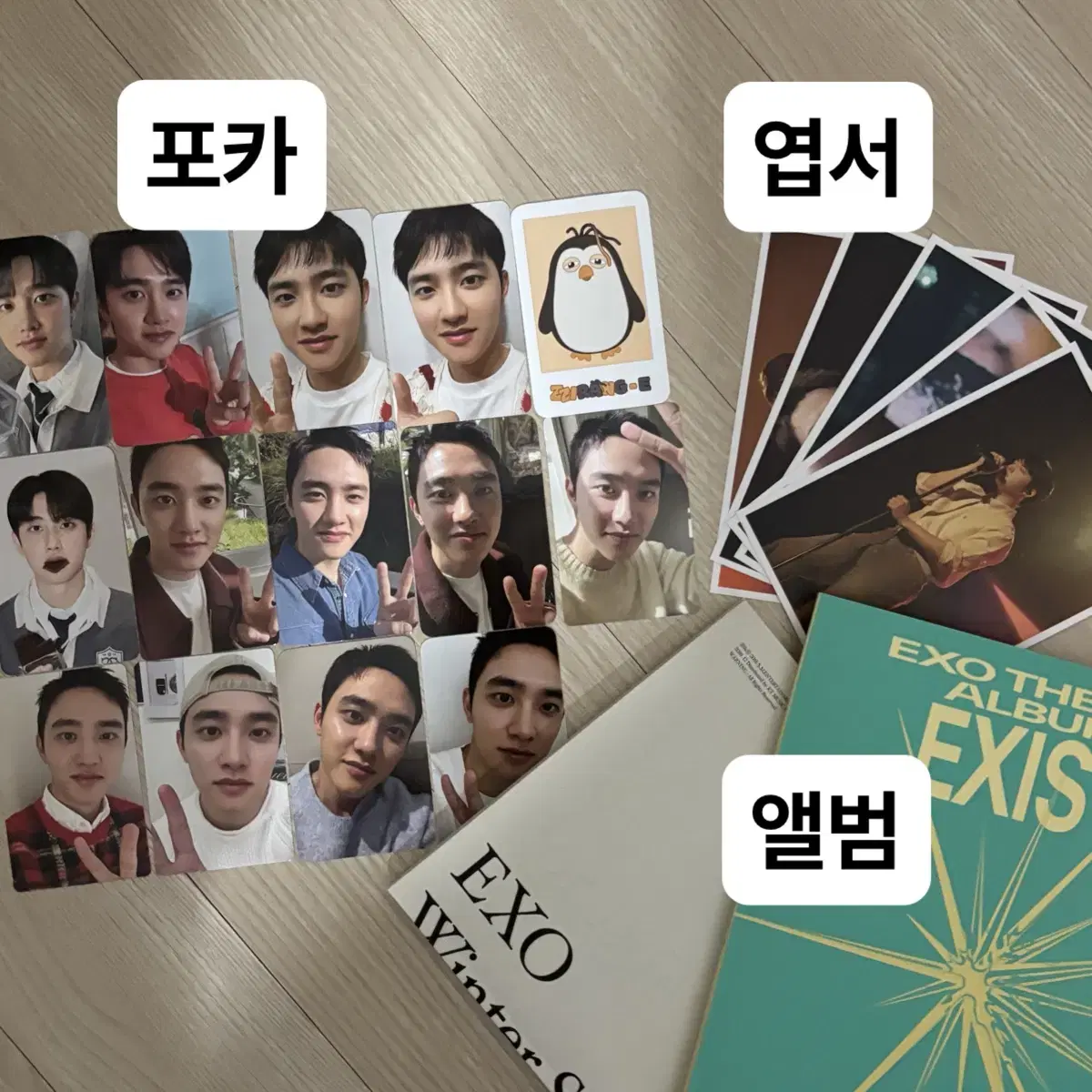 엑소 디오 도경수 포카 엽서 앨범 개별