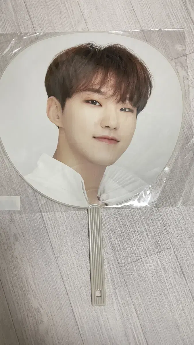 SEVENTEEN hoshi Image Picket wuchiwa Fan