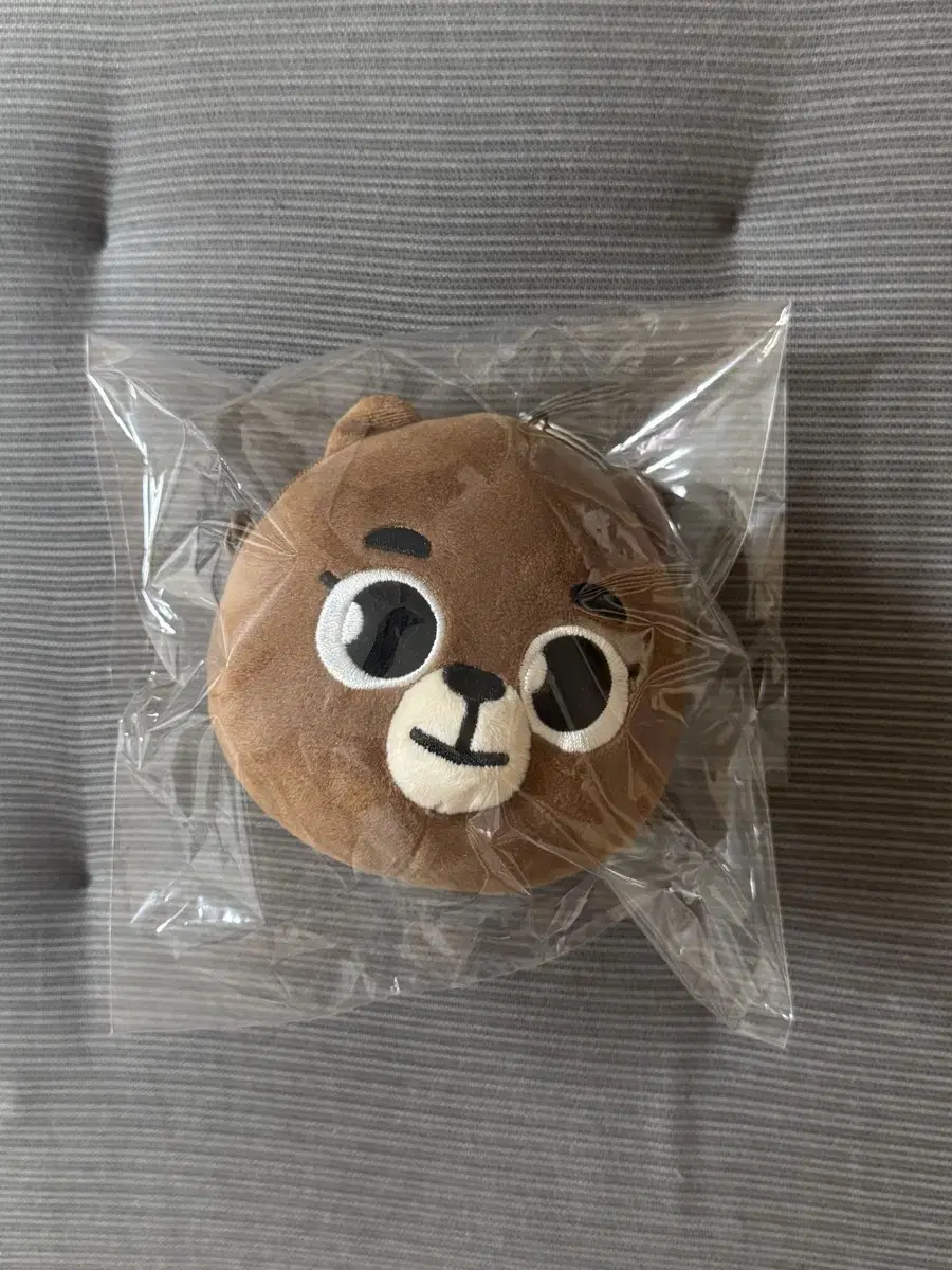 데이식스 데니멀즈 페이스파우치 방