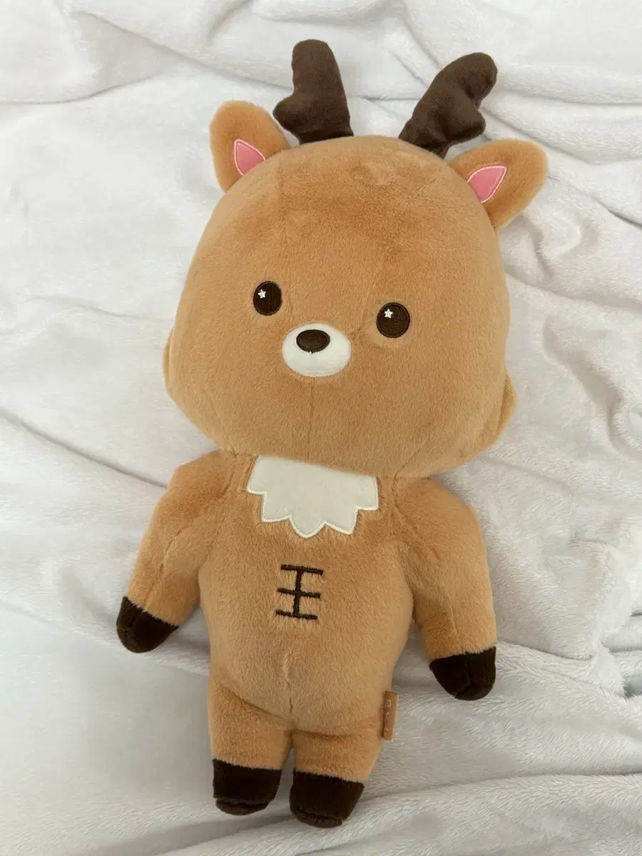 라이즈 성찬 우락밤 40cm 인형 판매합니다