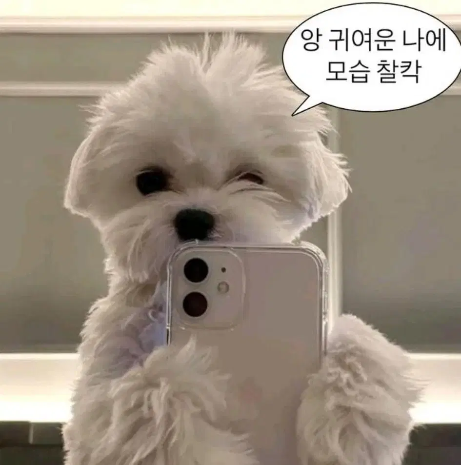 팝업 아이브 레이 하트 티라미수 직접 뽑은 싸인 판매 유진 원영 안녕즈