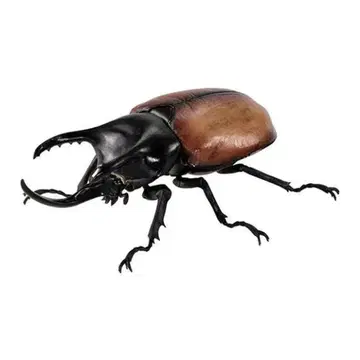 [온라인판] 생물대도감 가부토무시 08 산봉우리 가부토