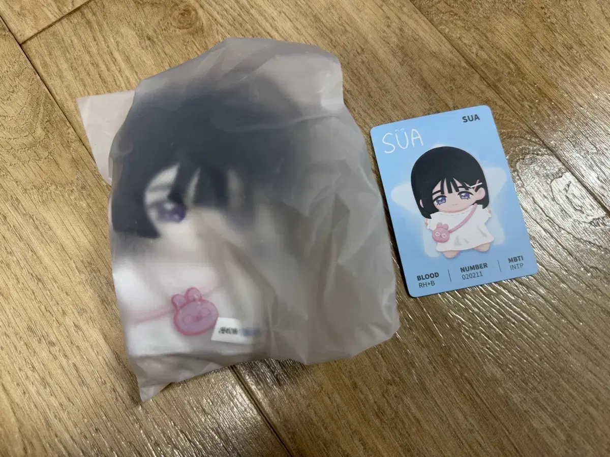 에이스테 수아 인형 누이