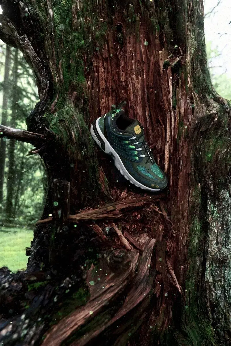 Salomon acs pro mountain 260