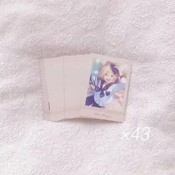 앙스타 나즈나 나즈나 회상 파샤코레 파샤쯔 정리 43점