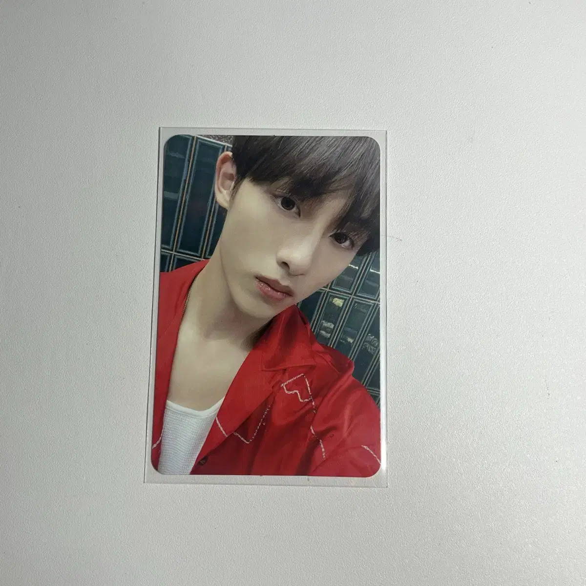 엔시티 wayv 웨이션브이 골든에이지 콜렉팅 윈윈 포카 양도