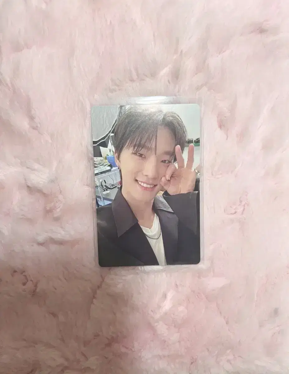 급처)세븐틴 디노 베스트앨범 포카 미공포