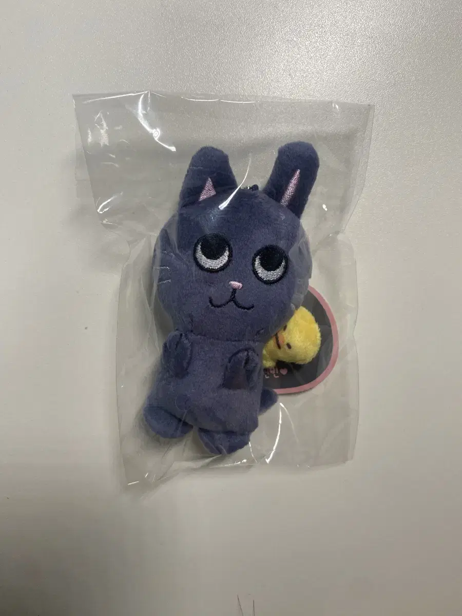 미개봉 라이즈 원빈 토냥덕 10cm 인형 오늘만 2.4
