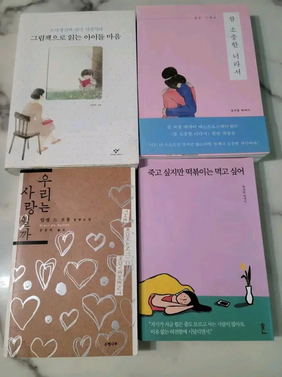 에세이 장편소설