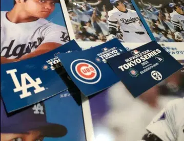 이토엔 오이차 오타니 쇼헤이 클리어 파일 6개 세트 도쿄 시리즈 스티커