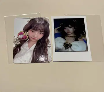 IVE 스위치 레이 사운드웨이브 JP 라키드로 트레이딩 카드 2장