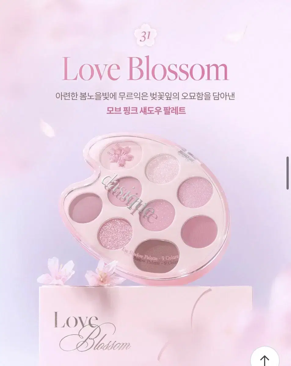 데이지크 팔레트 처분